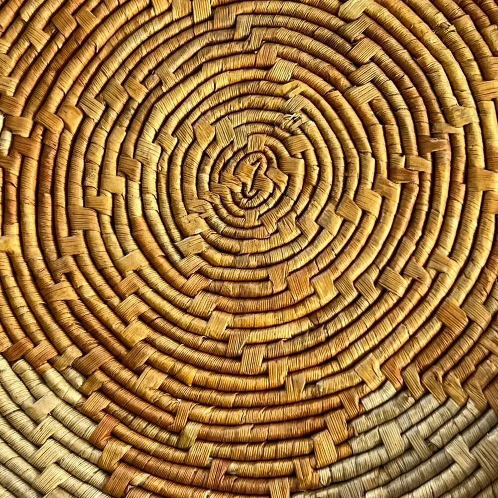 Set of 2 Round Coiled Woven Natural Baskets Double Handles Decor